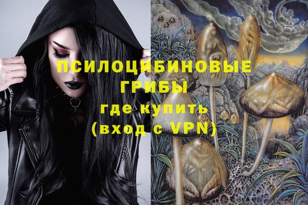 сатива Рославль