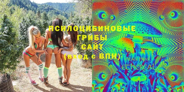 сатива Рославль