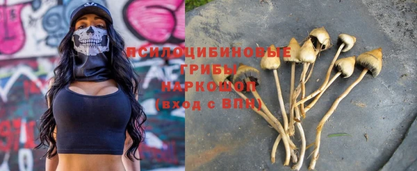 дмт Ростов