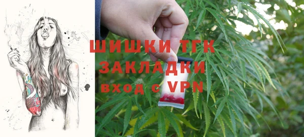 сатива Рославль