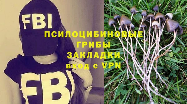 дмт Ростов